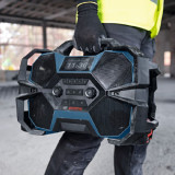Радіоприймач Bosch GPB 18VH-6 SRC Professional (06014A6200)